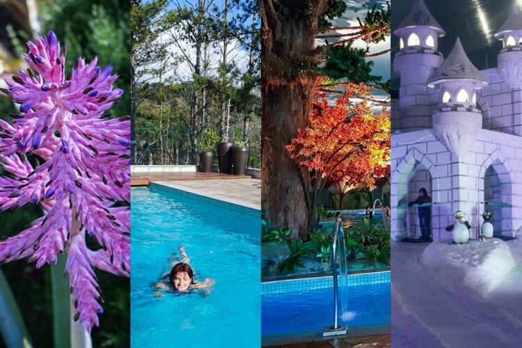 4 imagens representam as estações do ano nos atrativos de Gramado