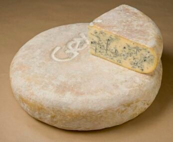 Queijo francês Bleu de Gex com denominação de origem no Pays de Gex