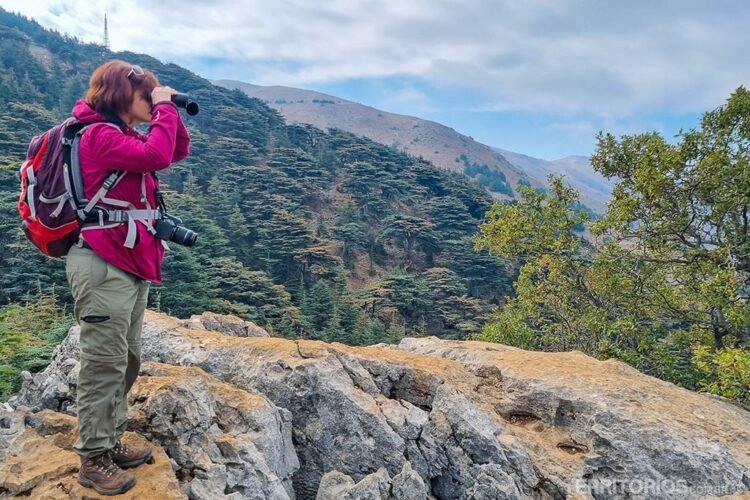 Mulher veste casaco vermelho e segura um binóculo olhando para paisagens com montanhas e árvores no Monte Líbano