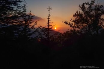 Silhuetas de árvores contra a luz do pôr do sol