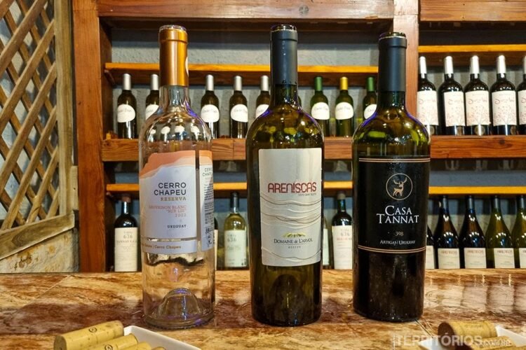 Três garrafas de vinho produzidos no norte do Uruguai em destaque, atrás adega com várias garrafas