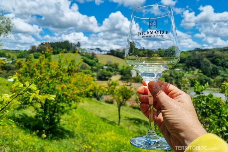 Mão segura taça de vinho no alto em cenário com plantas verdes e céu azul com nuvens