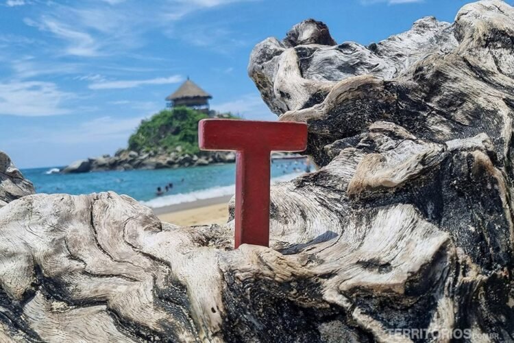 Letra Tesão de madeira vermelha em pedaço de tronco de árvore caído na praia, ilha verde ao fundo