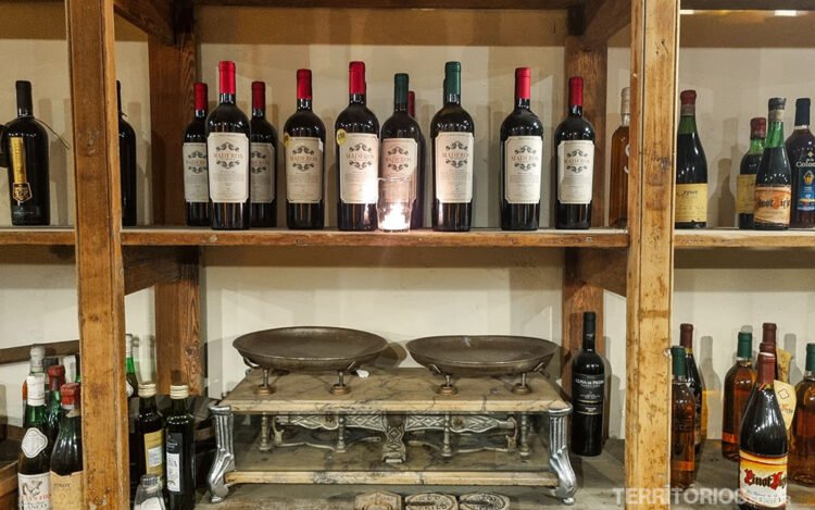 Vindima no Uruguai: antigo armazém com prateleiras cheias de vinho