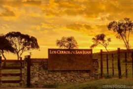 Vindima no Uruguai: Bodega los Cerros de San Juan