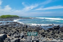 Galápagos e as dicas para montar a viagem Placa de pare (stop) em praia de Galápago