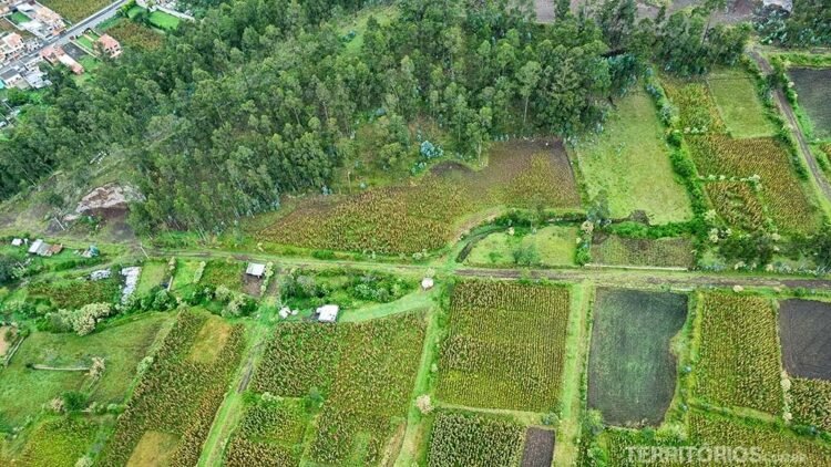 Plantações de milho na zona rural de Otavalo