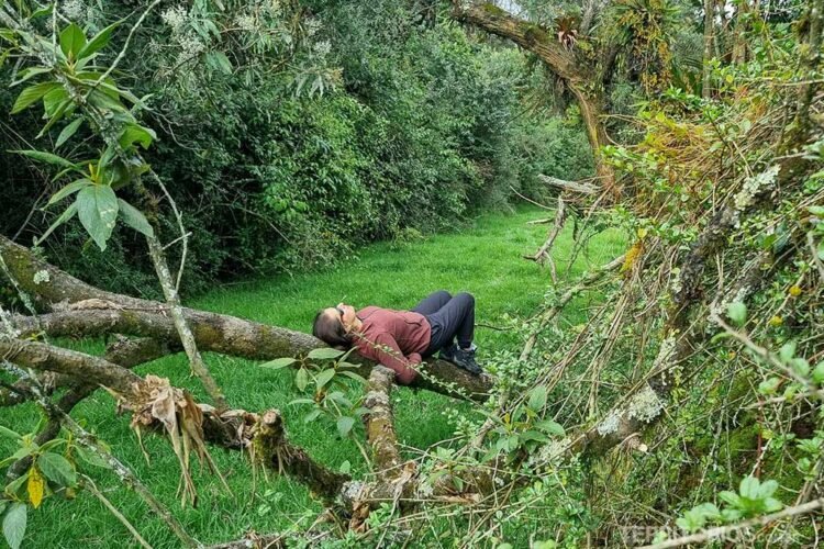 Mulher morena, com calça preta e blusa marrom, deitada em tronco de árvore em meio a natureza verde.