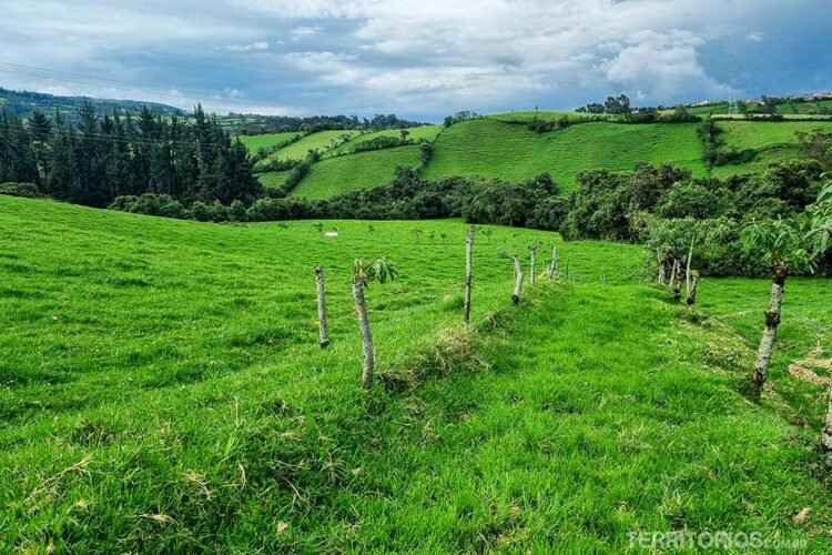 Campo verde com bosques e muitas árvores, um caminho marcado por troncos. Céu nublado no Hotel de Campo Sierra Alisos