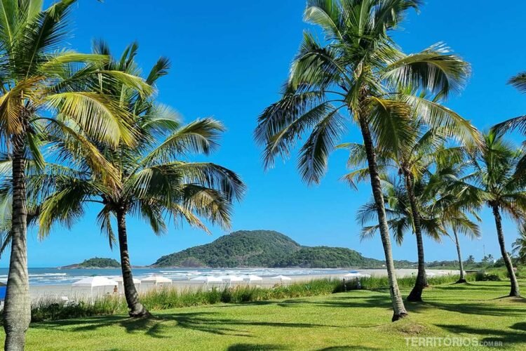 Jardim com coqueiros antes de chegar a areia da Riviera de São Lourenço