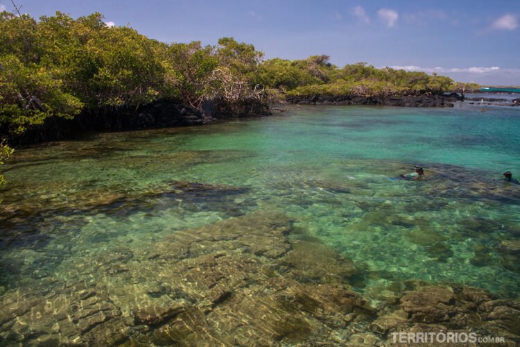 Duas pessoas fazem snokel em piscina natural de tons verdes de água cristalina. No fundo rochas e na margem mangues. Céu azul com poucas nuvens em Isabela