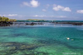 Isabela é um sonho nas ilhas Galápagos