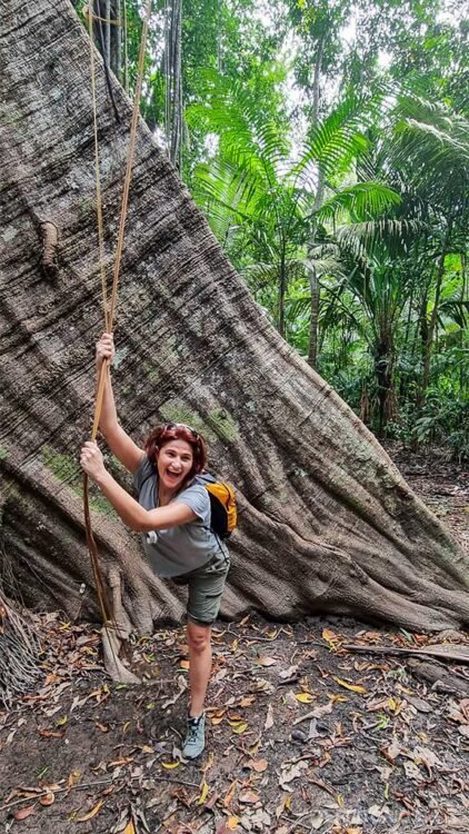 Mulher morena faz pose agarrando um cipó em frente a árvore gigante na Ilha de Santana