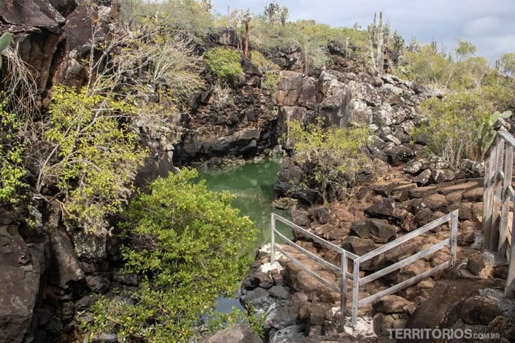 Passarelas entre rochas com vista para piscina natural e vegetação verde é atrativo em Santa Cruz.