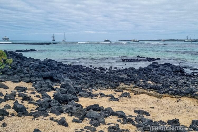 Praia de rochas vulcânicas de cor preta entre areia grossa. Céu nublado e mar em tons de verde com embarcações distantes do porto de Santa Cruz