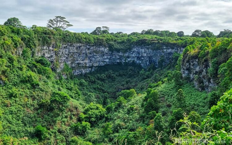 Cratera coberta por intensa vegetação verde na ilha Santa Cruz