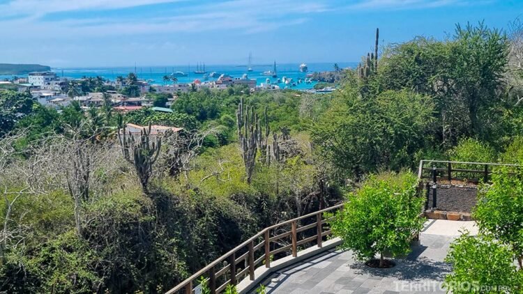 Mirante em Puerto Ayora, principal cidade na ilha Santa Cruz