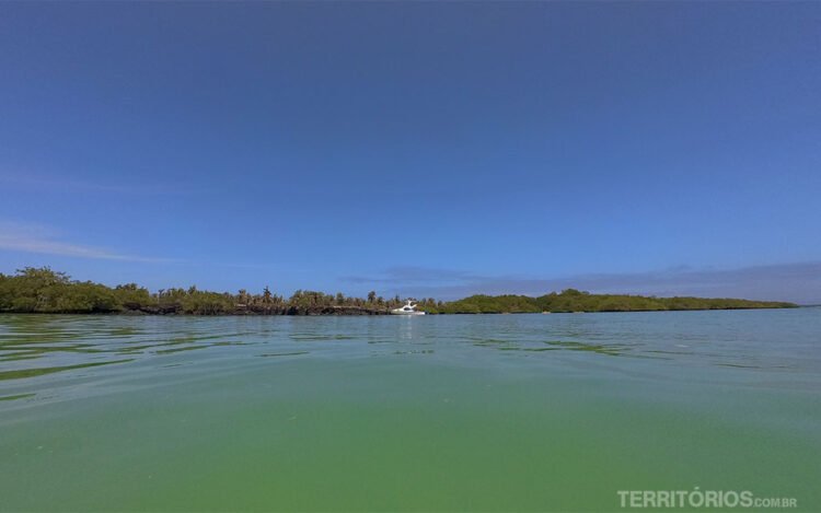 Mar de cor verde leitoso com vegetação verde ao fundo. Céu azul com poucas nuvens no horizonte. Um barco branco parado ao longe, no meio do cenário.