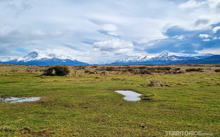 Campo verde com vegetação rasteira e poças de água rodeado por montanhas nevadas ao redor de Puerto Natales