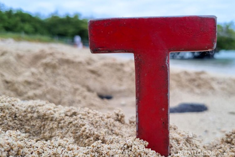 Letra T vermelha de madeira na areia da praia. Vegetação verde ao fundo.