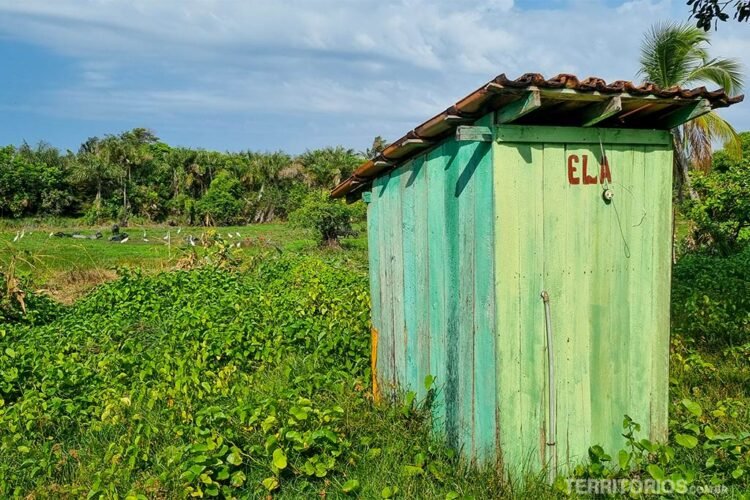 Casinha de madeira verde em meio ao verde é um banheiro escrito ela na porta. Céu azul com núvens.