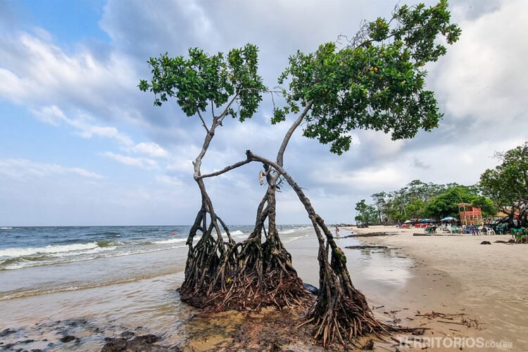 Praia da Barra Velha com mangue e guarda-sóis ao fundo.