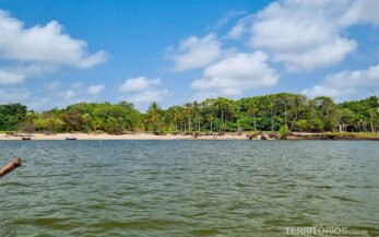 Visto do rio e praia com areia e vegetação na Ilha de Marajó