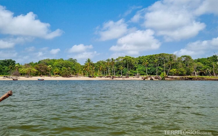 Visto do rio e praia com areia e vegetação na Ilha de Marajó