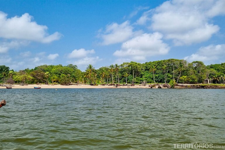 Visto do rio e praia com areia e vegetação na Ilha de Marajó