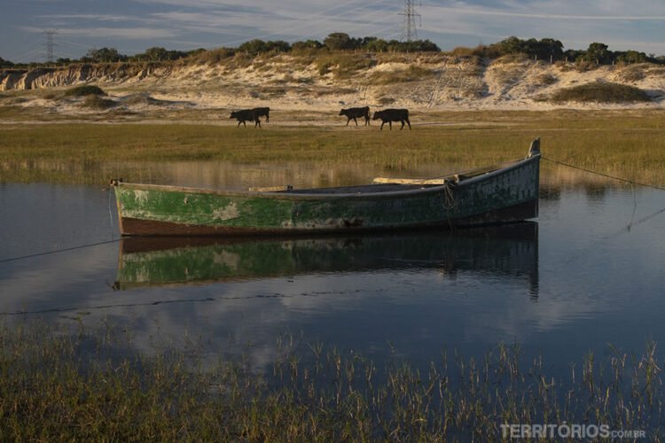 Barco com pintura desgastada na água, ao fundo vacas, pasto, areia e vegetação nativa da Lagoa Mirim