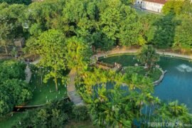 Melhores parques para uma imersão na floresta amazônica sem sair da zona urbana
