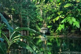 Três passeios gratuitos que unem natureza e história em Macapá