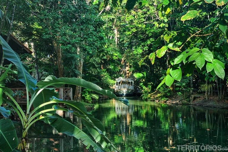Três passeios gratuitos que unem natureza e história em Macapá