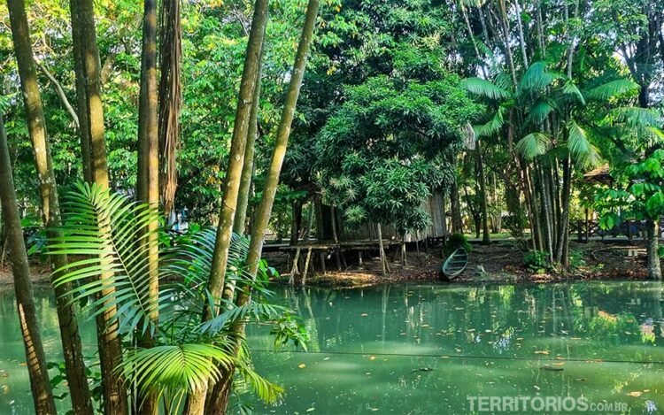 Casa de ribeirinho nas margens de rio verde rodeado por vegetação intensa