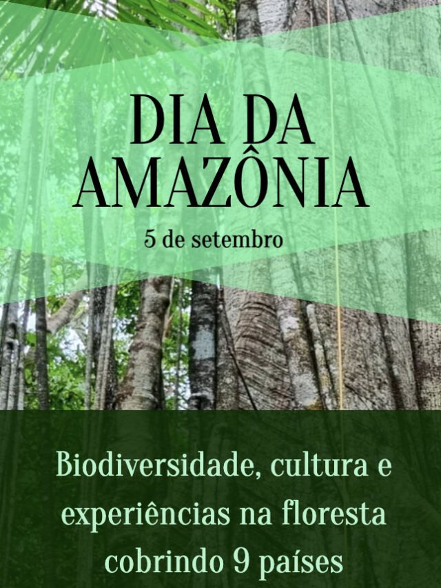 Dia da Amazônia: experiências na floresta pelos 9 países