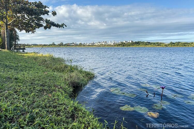 Lago Pequena no Campeche rodeada por verde, planta aquática e prédios ao fundo. Céu azul com nuvens