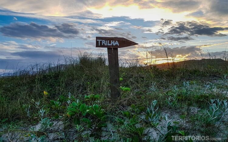 Mata nativa nas dunas e sinalização de trilha no Campeche, céu azul entre nuvens no final da tarde