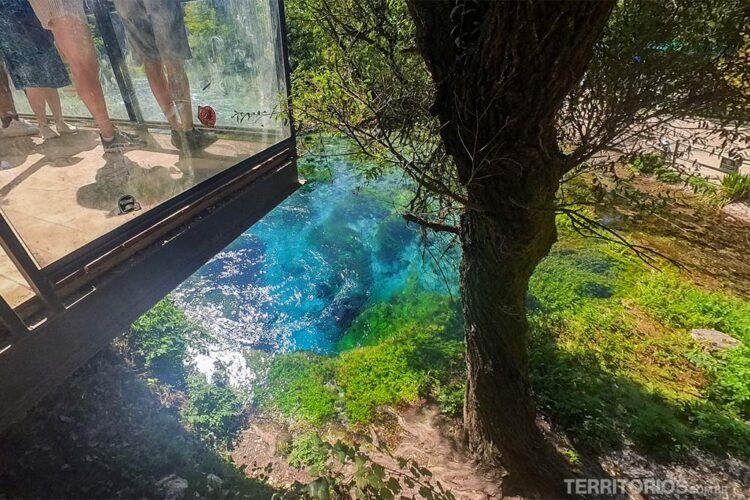 Nascente em cor azul rodeada por verde e uma árvore. Pés de pessoas no mirante em frente.