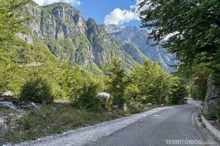 Estrada de asfalto entre montanhas e vegetação verde na região mais alta da Albânia