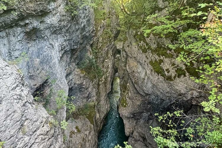 Cânion de rochas com vegetação, rio de cor verde corre no fundo.