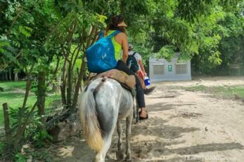 Trilha em cavalos no Parque Tayrona