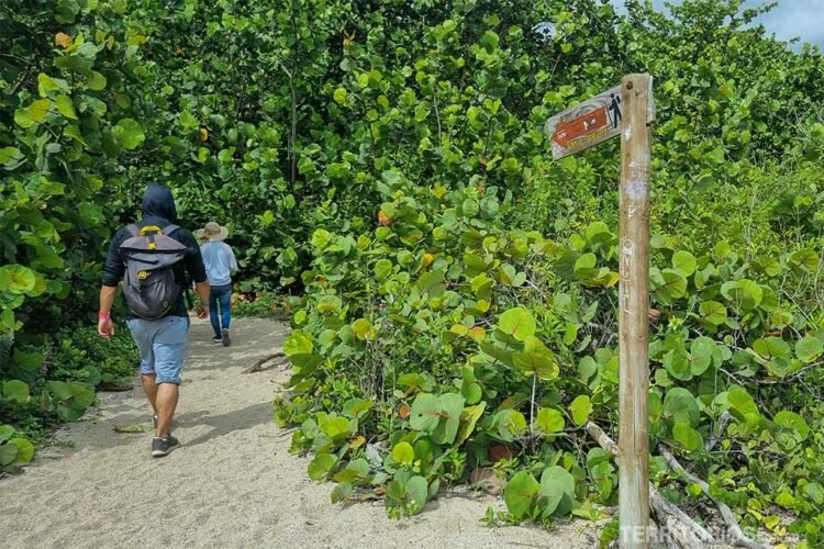 Dois homens protegidos com chapéu e capuz percorrem trilha na areia cercada por mata nativa. Sinalização de trilha de madeira a direita. No Parque Tayrona