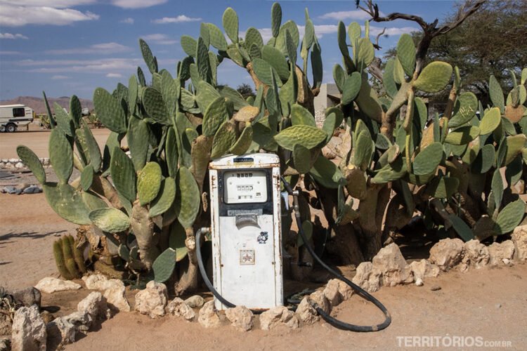 Posto de gasolina com cactos