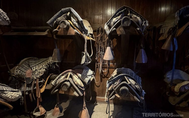 Selas de cavalos organizadas na Cerro Guido